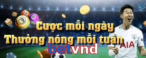 betvnd